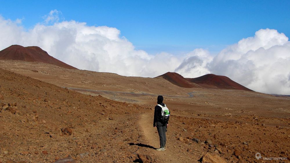 Sur le Wai'au Trail, non loin de la route, parmi les cônes de lave rouges.