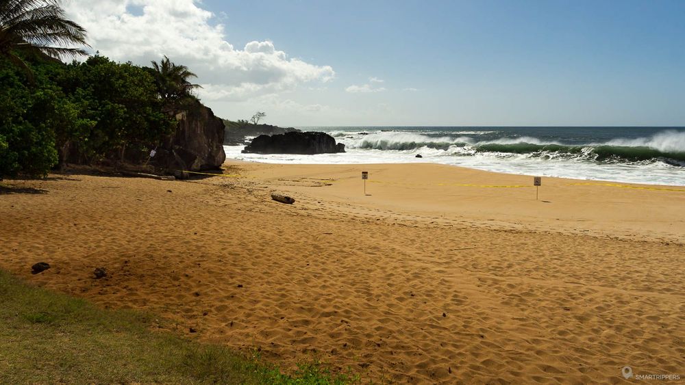 La plage de Waimea fin mars.
