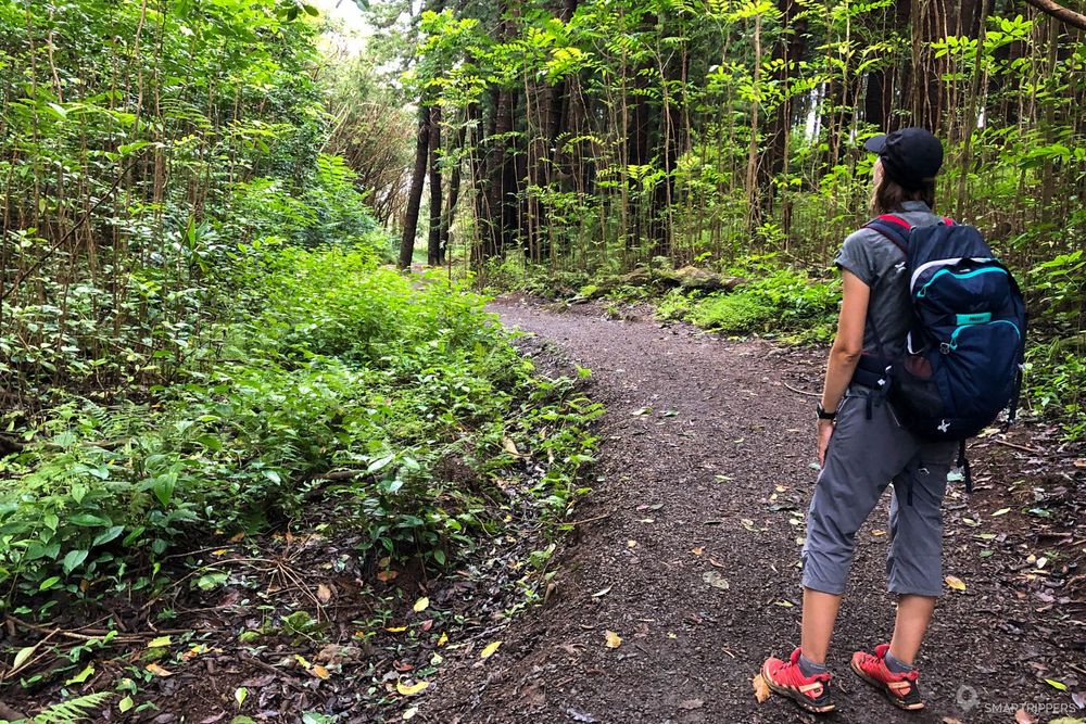 Petite pause sur le sentier qui traverse la forêt.
