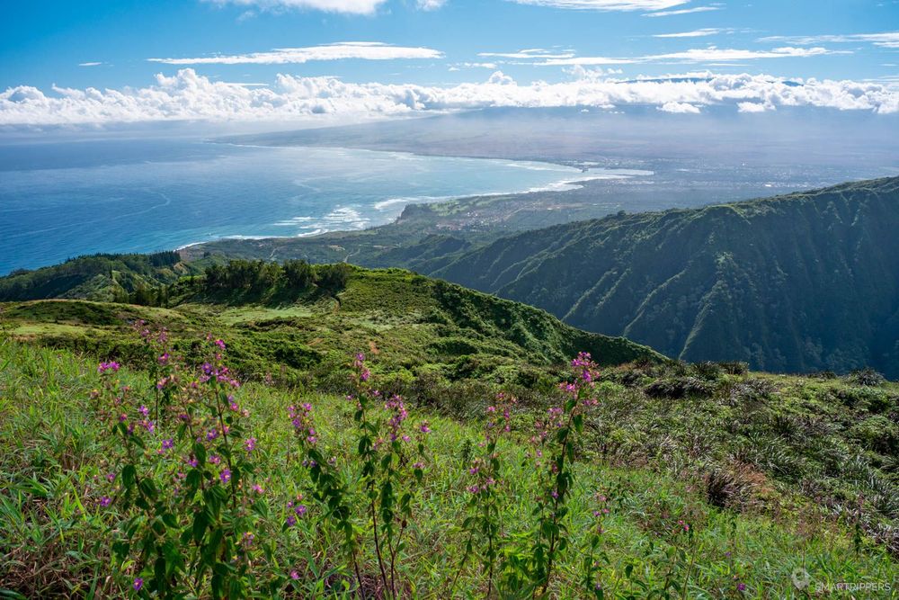 Panorama au sommet du trail.
