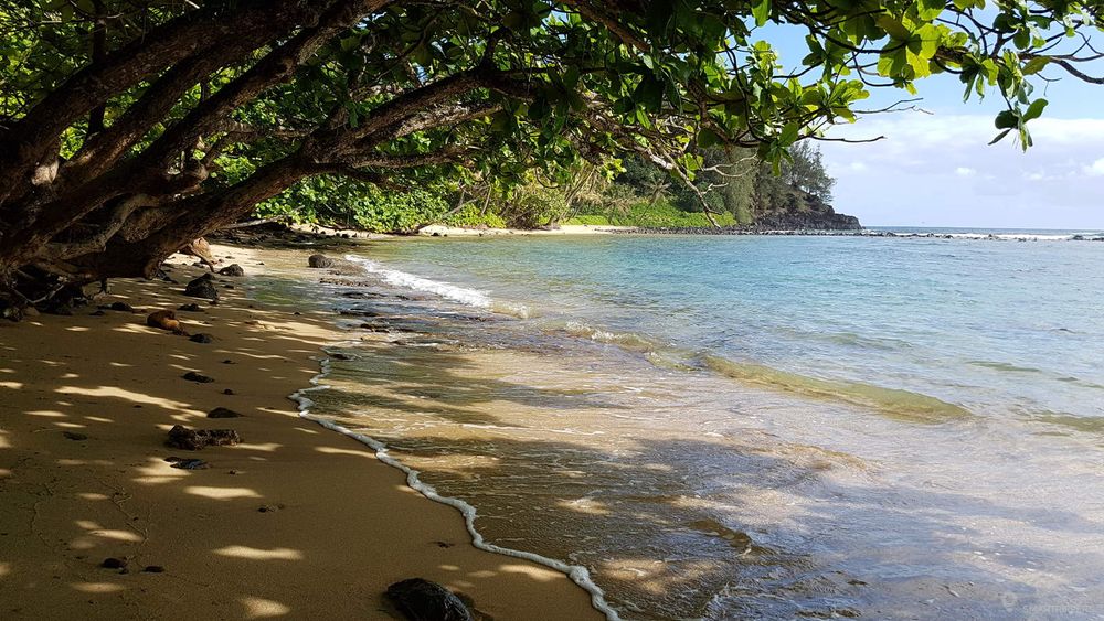 Promenade sur la petite plage de Waikokos, c'est vraiment agréable!