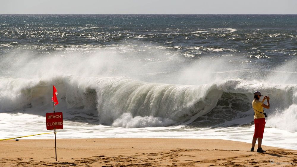 Grosses vagues à Waimea beach!
