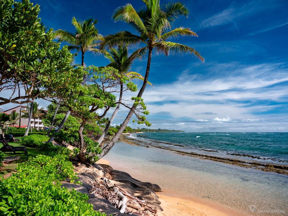Au nord de la plage, il ne reste que le récif.