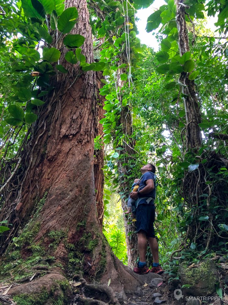 Flo et Lena sur le Wakamoi Trail.